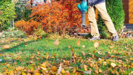 An electric blower removes leaves from the lawn with a powerful jet of air. Fallen leaves fly in the air due to the powerful air flow from the blower. The gardener uses a blower for autumn work.