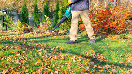 Blower removes fallen leaves from the lawn. A gardener with a blower cleans the grass from leaves...