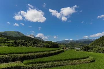 井手浦の棚田の風景　北九州市小倉南区