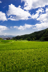 貫の棚田の風景　北九州市小倉南区
