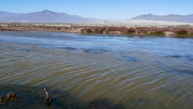 The image shows the waters of a wetland in northern Chile.