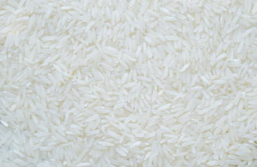 A white jasmine rice isolated on white background. Good for any project.