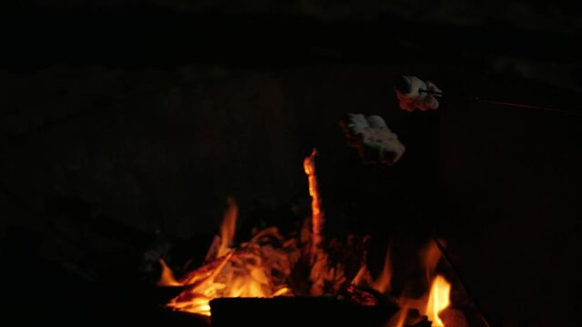 roating mashmallow candy on the firewood heat while camping.