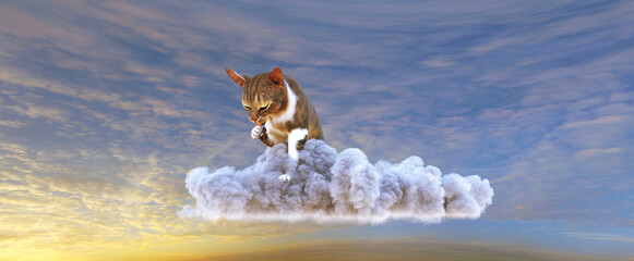 Cat on the clouds, even cats go to heaven, 3d illustration, 3d rendering
