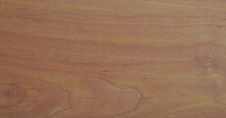 Background, wood with its veins and shades, copy space.