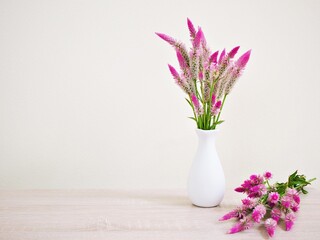 Pink flowers in vase on table with white cement wall texture background or wallpaper, copy space Celosia argentea L. Plumed Cockscomb ,Chinese Medicine Kurdu Amaranthaceae Troublesome Widespread Weed 