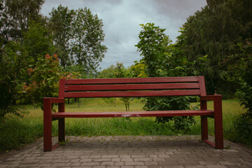 Fototapeta na wymiar Wet bench in park on a rainy day