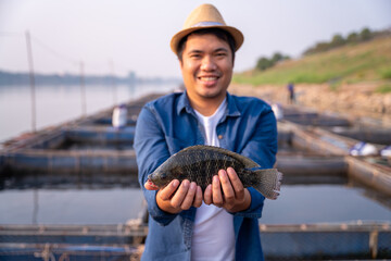 Aquaculture farmer hold quality tilapia yields in hand, guaranteeing integrity in organic...