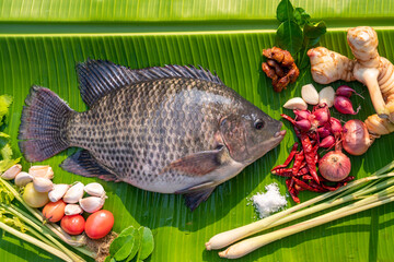 A Fresh tilapia fish with aromatic herbs spices and vegetables ingredients ready to cooking...