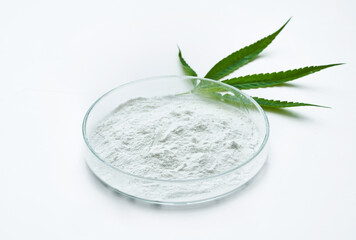 cannabidiol or CBD powder in glasses plate, Petri dish, and cannabis leaves on white background....