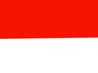 Indonesian flag