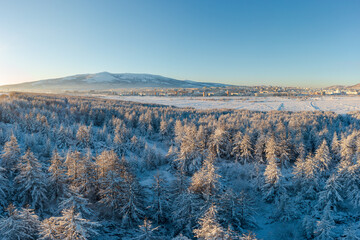 Winter aerial view of the surroundings of Magadan. Top view of a beautiful winter forest. In the distance, the northern city. Cold weather. Snow covered larch trees. Magadan region, Far East of Russia
