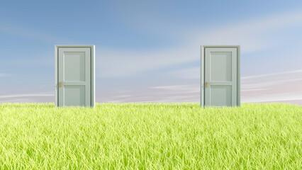 Door on meadow in the empty room with sky background. 3D illustration, 3D rendering	
