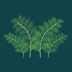 plant with thin leaves on a green background