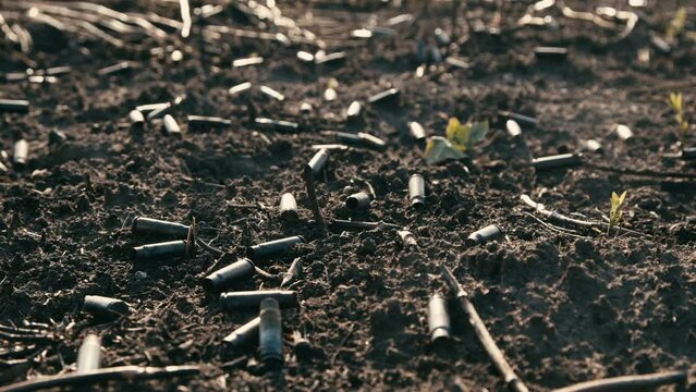 a scorched field after a battle with a shell from a machine gun. field with small sprouts of plants. War concept