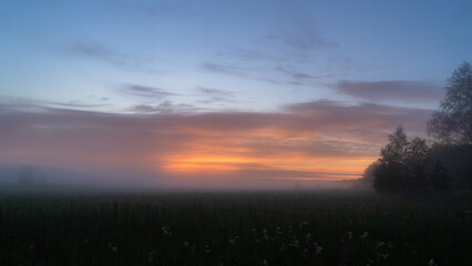 Naklejka na ściany i meble foggy dawn in summer in a field