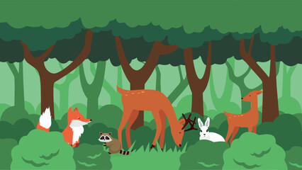 Fox, raccoon, roe deer, hare in the forest