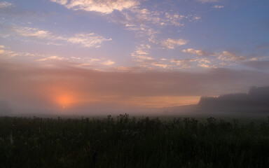 Fototapeta na wymiar foggy dawn in summer in a field