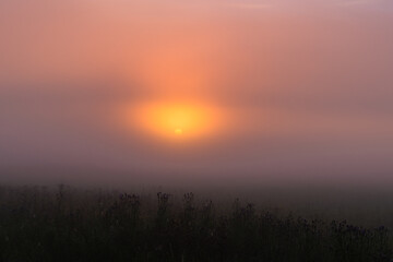 Naklejka na ściany i meble foggy dawn in summer in a field