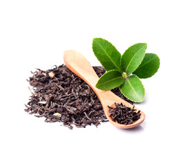 Dried tea with green leaves