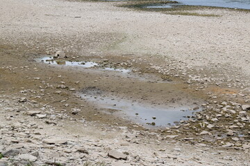 Rehinufer bei Trockenheit
