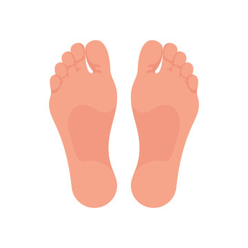 Soles of feet. The foot of the foot of a man or woman. Template for podiatry. The lower part of the human body. Bare foot. Vector illustration flat design. Isolated on white background.