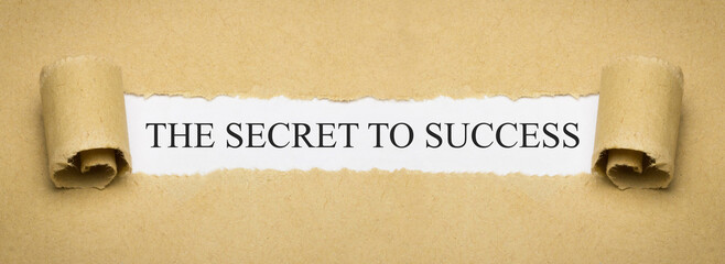 Obraz premium The Secret to Success