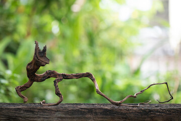 Tree root on green nature background.