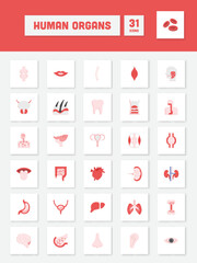 Flat Style Human Organs Square Icon Set.