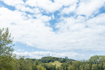 Obraz premium beautiful landscape of trees with blue sky and white clouds