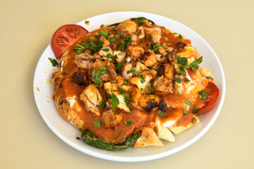 Turkish and Arabic Traditional Ramadan chicken doner kebab with tasty tomato sauce and rice or turkish pilav in white plate on wood table background. (Pilav ustu tavuk doner)