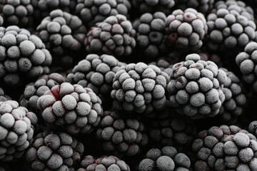 Tasty frozen blackberries as background, closeup view