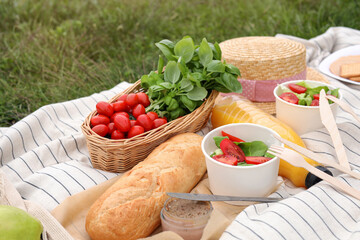 Picnic blanket with juice and food on green grass