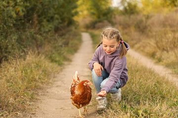 Farm animal. Cute little girl feeding chicken in countryside - Powered by Adobe