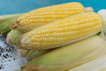 Fresh corn, sweet corn