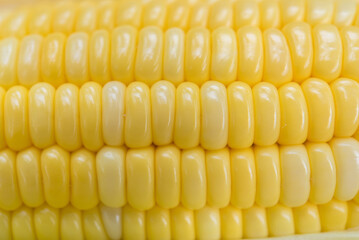 Closeup Yellow sweet corn