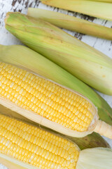 Fresh corn, sweet corn