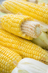 Closeup Yellow Corn, sweet corn, yellow corn background, healthy organic food, bio nutrition