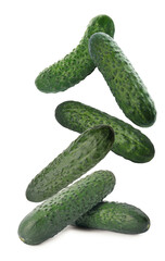 Fresh green cucumbers falling on white background