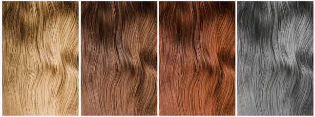 Collage with multicolored hair samples, banner design. Color palette