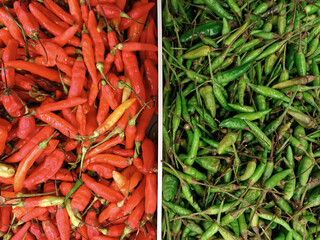 green and red chilli hot in food market