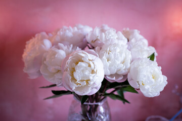 White peonies in a vase against a pink wall close-up, selective focus