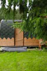 A house by a pine tree, with green grass in summer