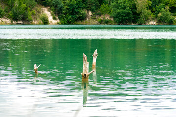 Beautiful Ukrainian lake at the base of which is a clay quarry on a summer day