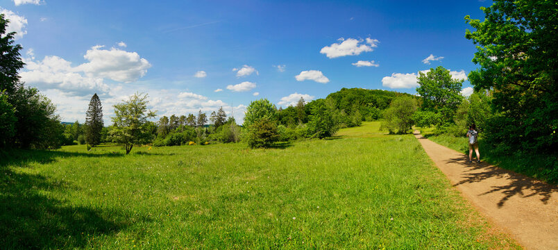 Wandern in der Vulkaneifel - ein liebliches Hochplateau auf dem Gerolsteiner Felsenpfad