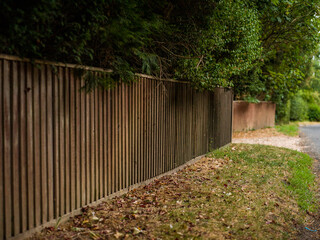 old wooden fence with ivy