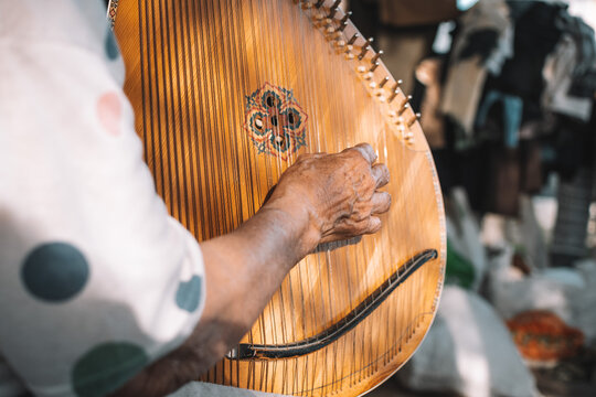 A woman plays the Ukrainian folk instrument. Kobza or bandura in female hands. String instrument. selective focus