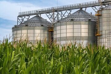 agro silos granary elevator with seeds cleaning line on agro-processing manufacturing plant for processing drying cleaning and storage of agricultural products in rye corn or wheat field