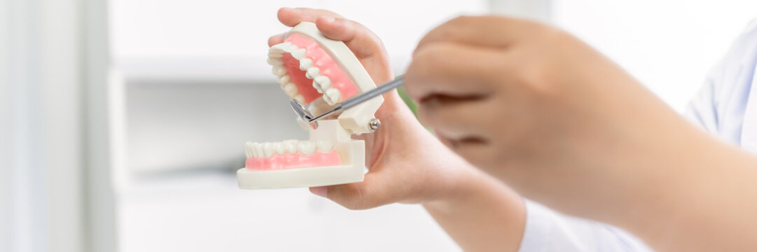 Dentist at dental clinic White healthy tooth with Dental model in oral surgeons discussing jaw x-ray on tablet medicine healthcare oral surgery concept.