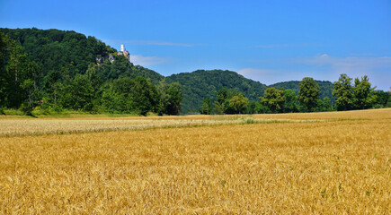 Schwäbische Alb beim Traifelberg; Blick zum Schloss Lichtenstein